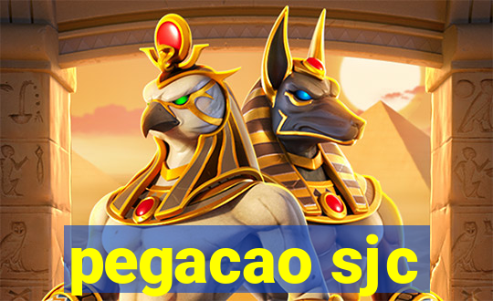 pegacao sjc